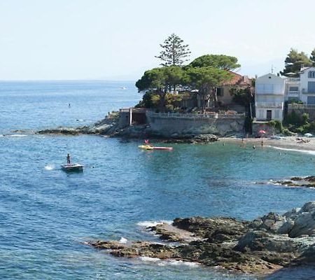 Cap Corse Une Villa Dans Un Nid De Verdure San-Martino-di-Lota Kültér fotó
