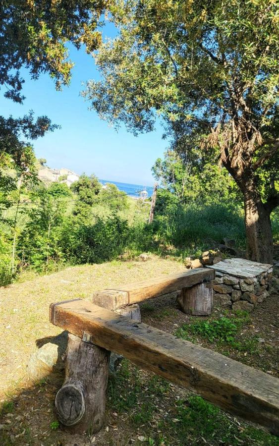 Cap Corse Une Villa Dans Un Nid De Verdure San-Martino-di-Lota Kültér fotó