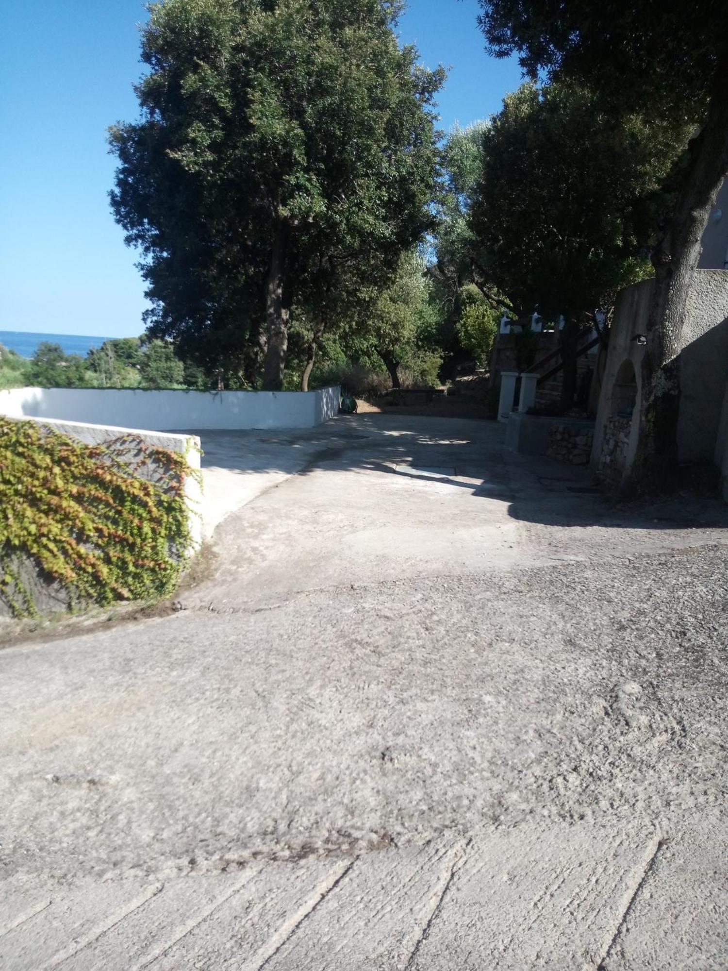 Cap Corse Une Villa Dans Un Nid De Verdure San-Martino-di-Lota Kültér fotó